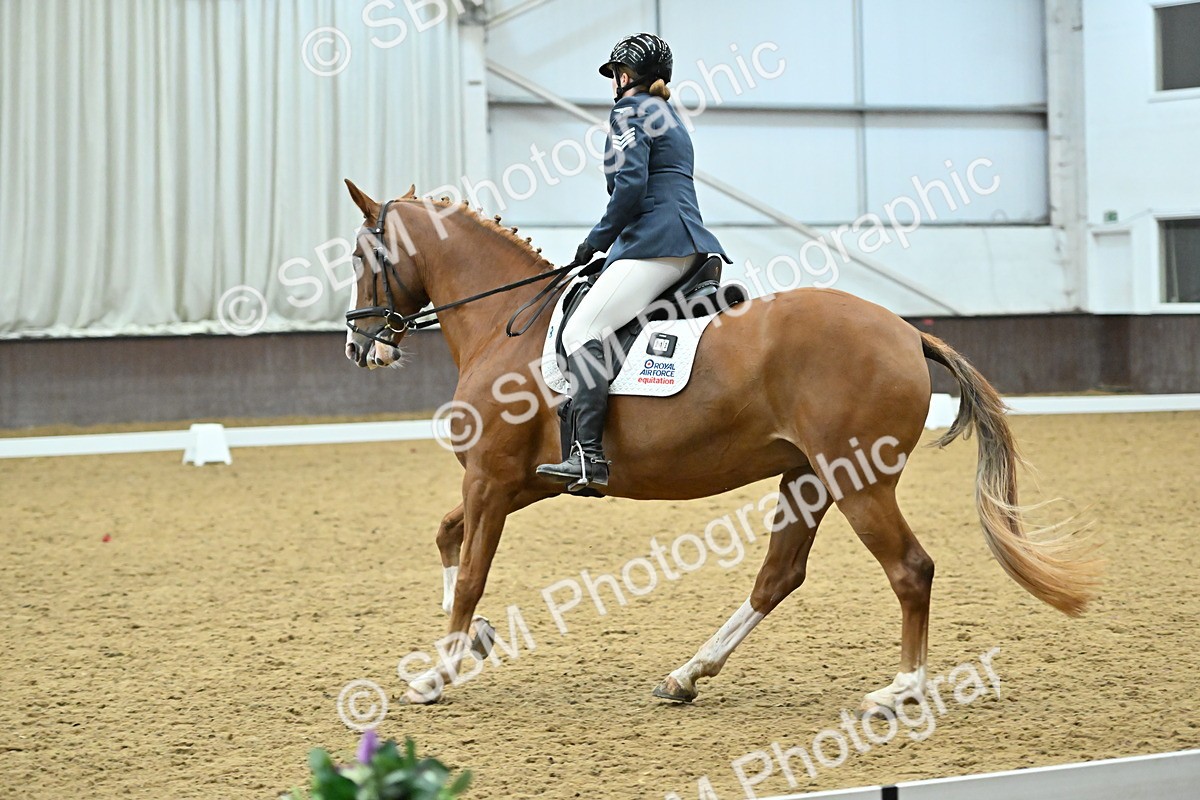 SBM_007554 - Class 81 - Novice 3