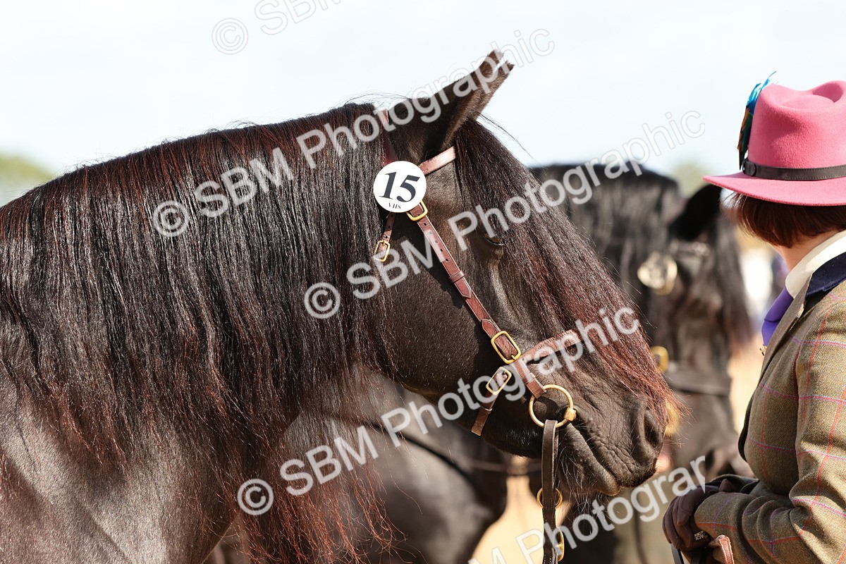 SBM_11075 - Class 207 - IH M&M