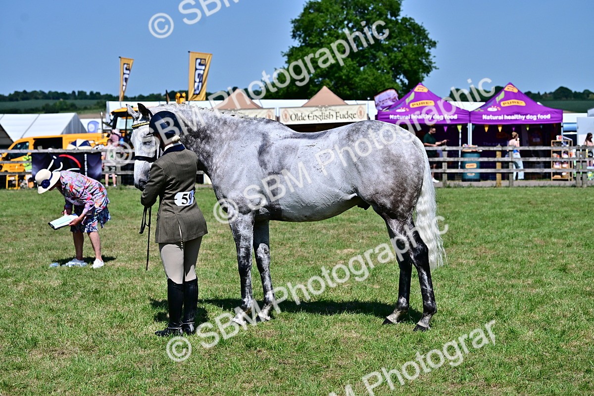 SBM_18225 - Class 99-100 - Retraining of Racehorses Ridden