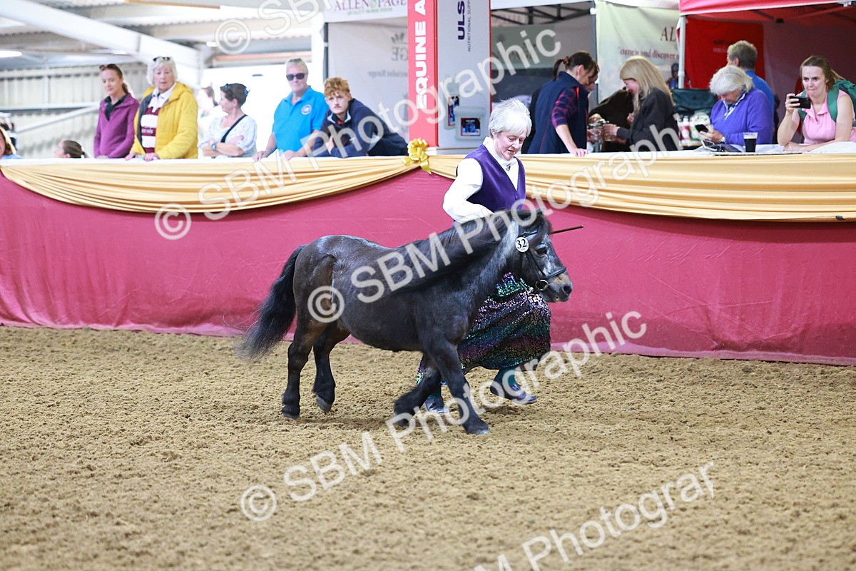 SBM_14706 - Class C - Novelty champ