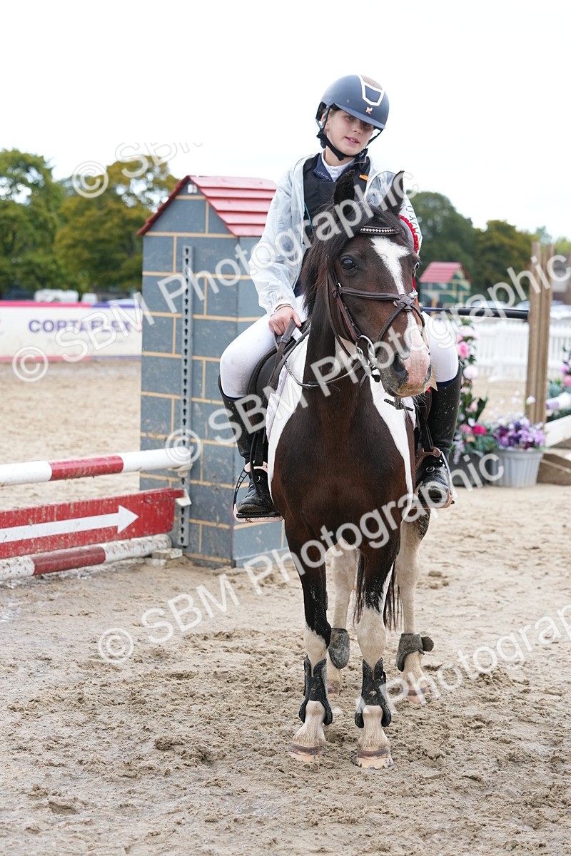 SBM_40904 - Supreme Championship Pony 50-55cm