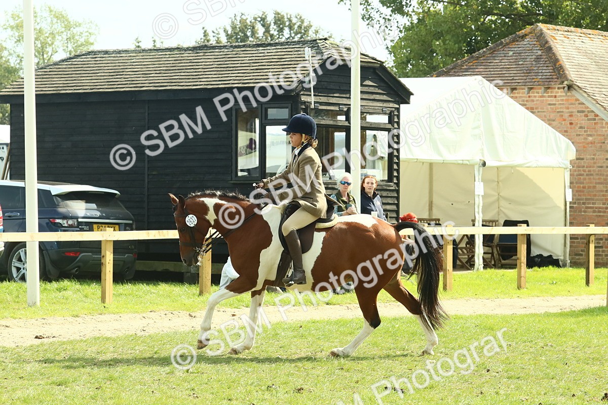 SBM_67505 - S56 - Coloured Pony Ridden