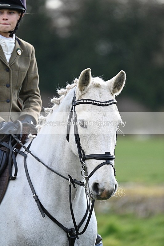 WJ7_6414 - Meet