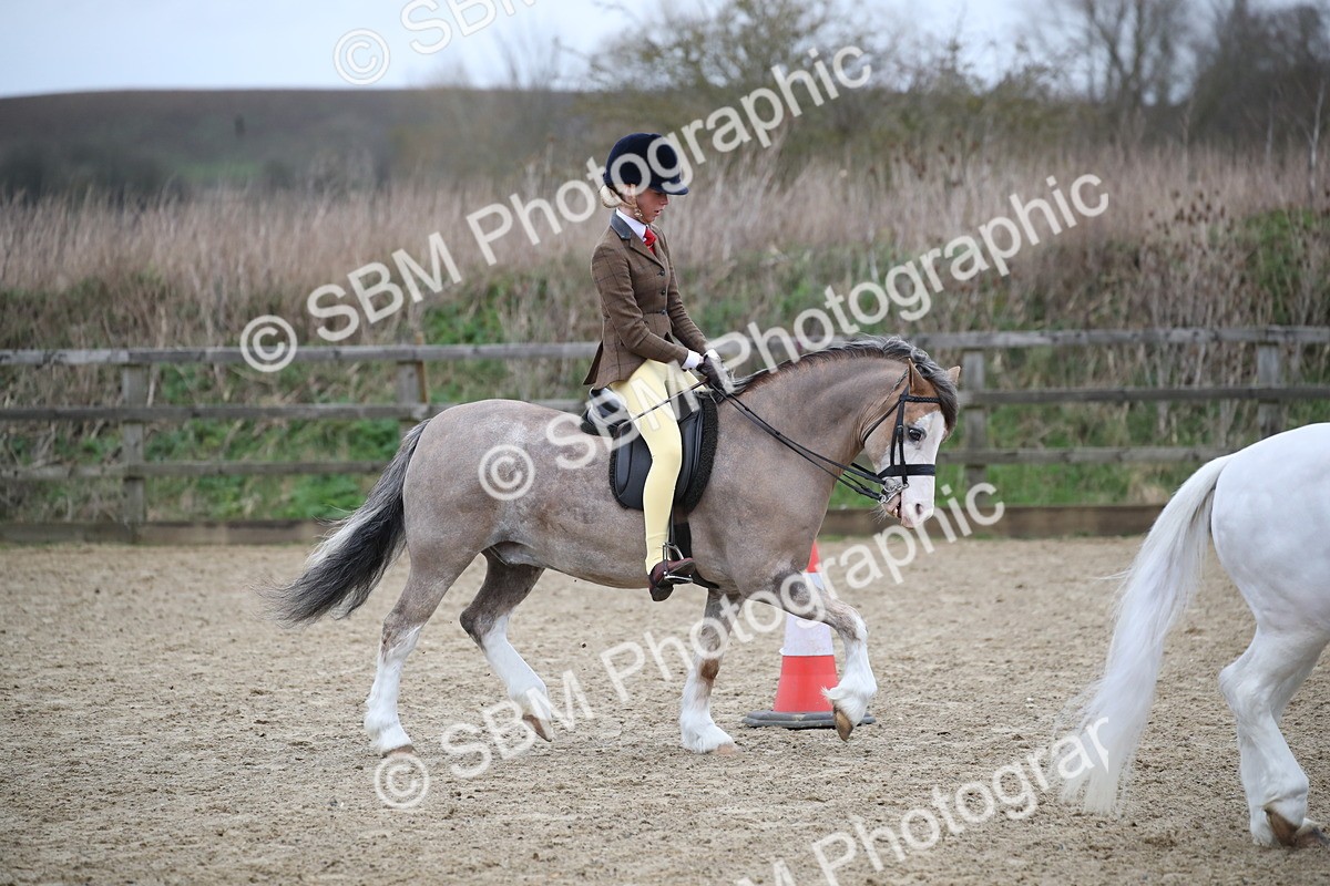 SBM_005903 - Class 10-13 - RIHS Small Large Breeds