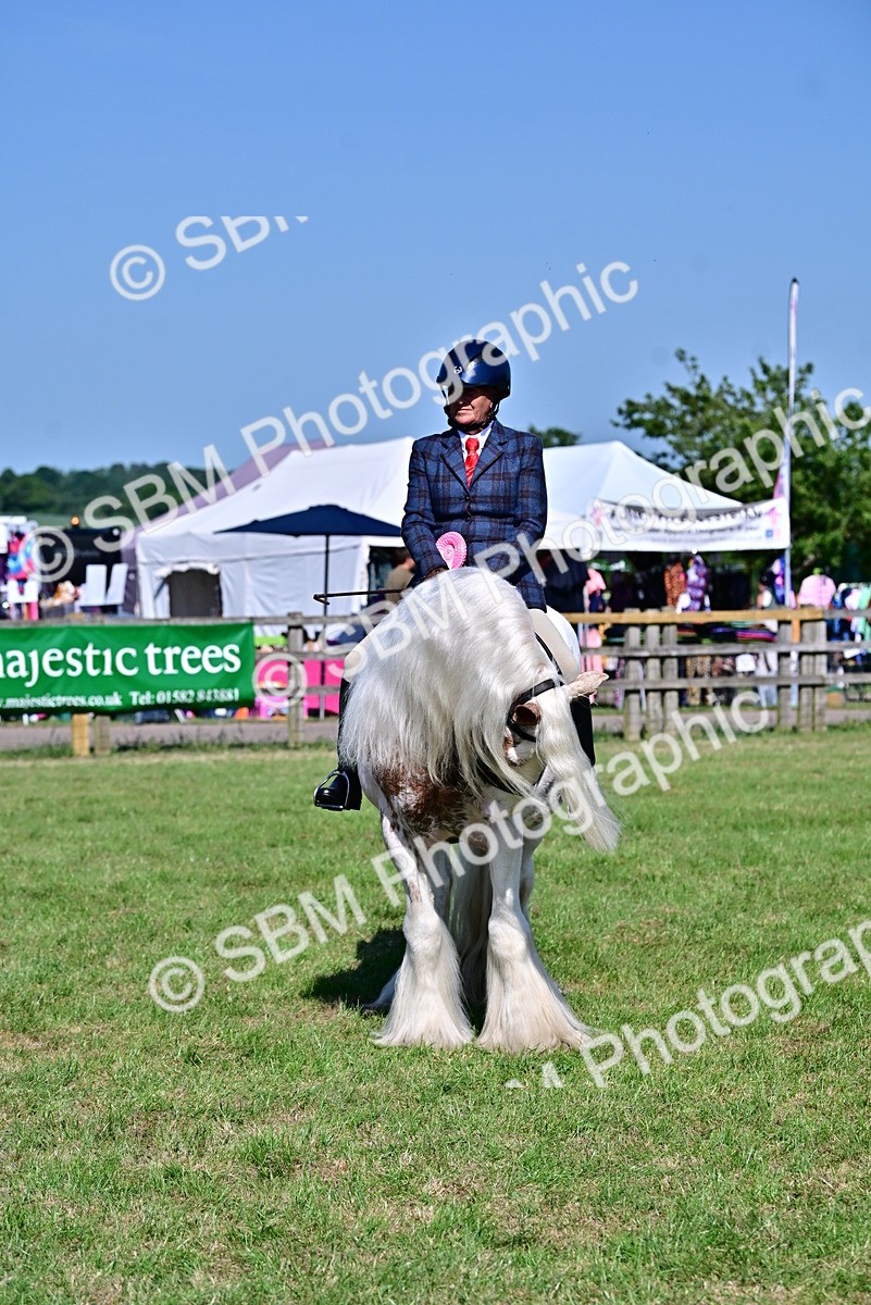 SBM_19462 - Class 101-102 - BSPS LIHS Performance Coloured Horse/Pony