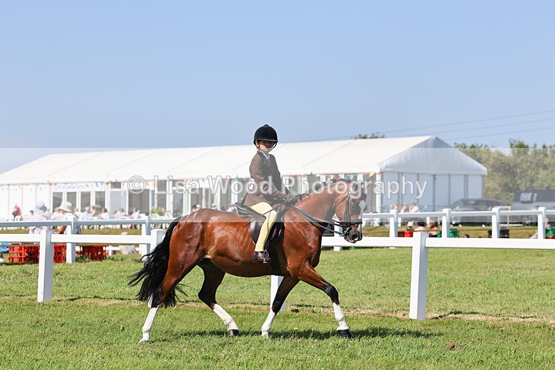 IMG_1994 - Class 34: Show Hunter Pony 153cm and under