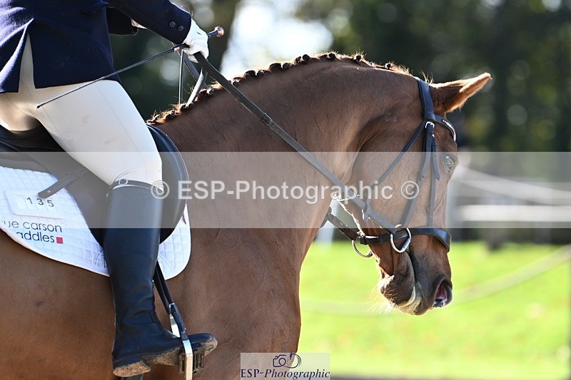 231110-122030-00658 - Cls 3 Novice 22