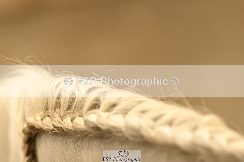 240809A-092525-00077 - Stable Shots