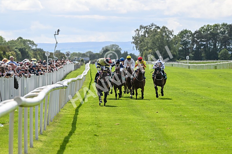 060625-Race 5-Miss Brazen-4896