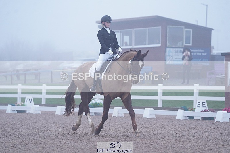 250215-094716-02701 - 142-Daisy.Hedges-Felicia.v