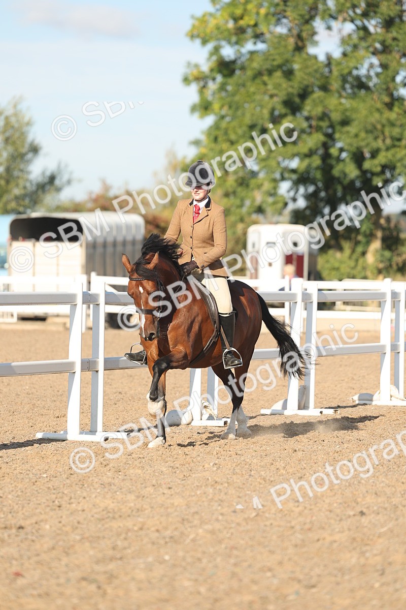 SBM_11035 - Class 302 - Ridden M&M Large Breeds