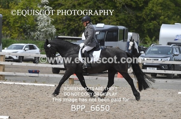 BPP_6650 - 42 L MCKIRDY