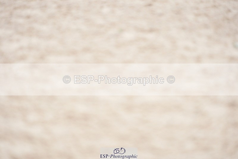 230924A-105916-05080 - 100 SJ Start to 11.00