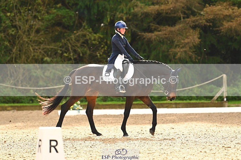 231020-142339-09934 - 307-WELLAN.GRAFFITI-Molly.Evans-DR