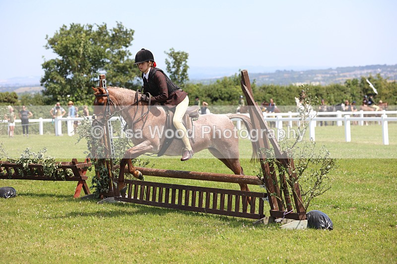 JPP_2435 - Class 21: Working Hunter 60cm