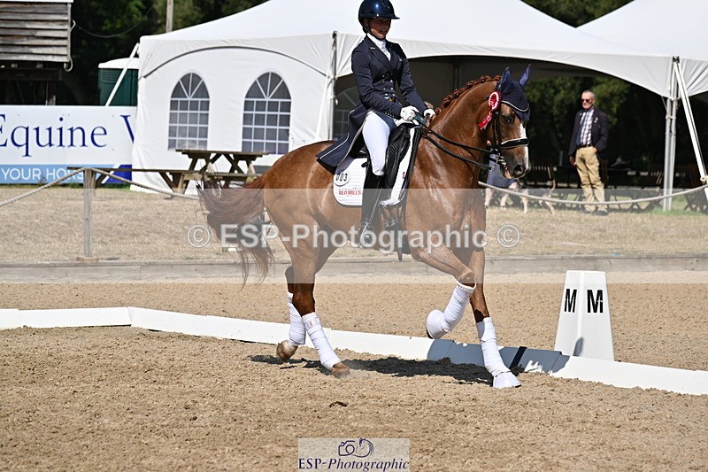 250810A-152901-08042 - Intermediate I GOLD Presentations