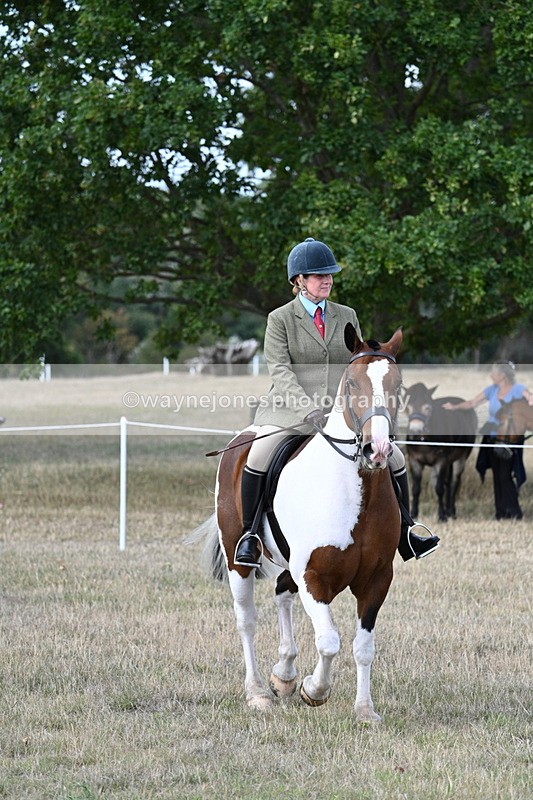 WJ7_7127 - Class 14 Ridden Coloured