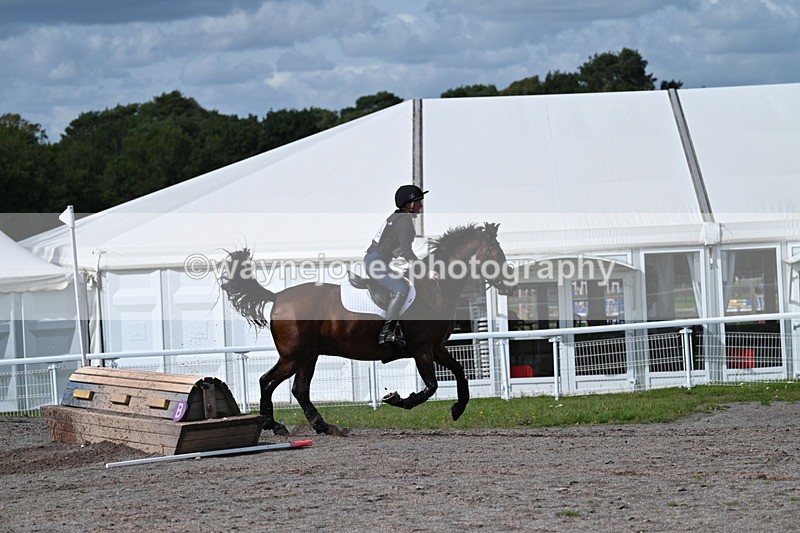 WJ7_1965 - Time 13:17 to 13:53