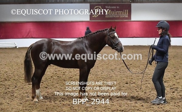 BPP_2944 - LOOSE JUMPING / SPSS