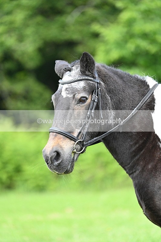 WJ7_1652 - Class 11 Condition & Turnout