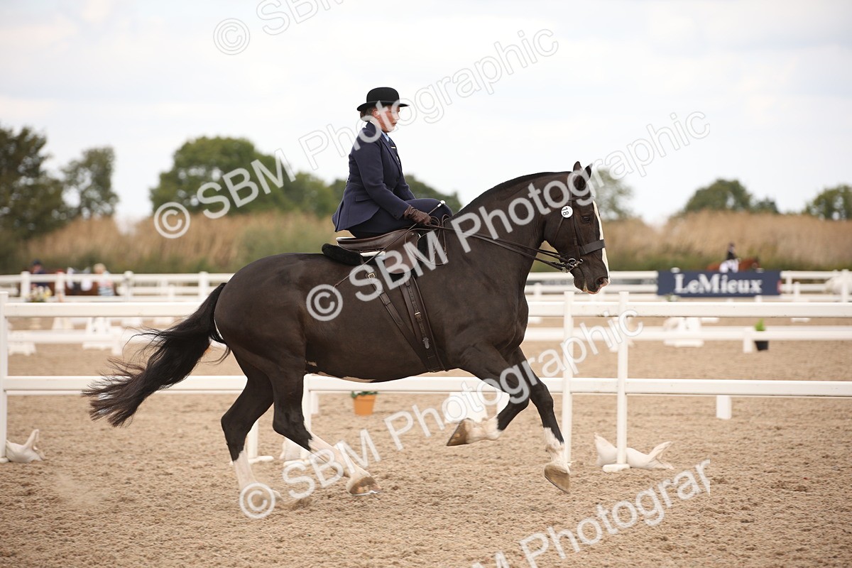 SBM_05336 - Class 22 SSA Equitation