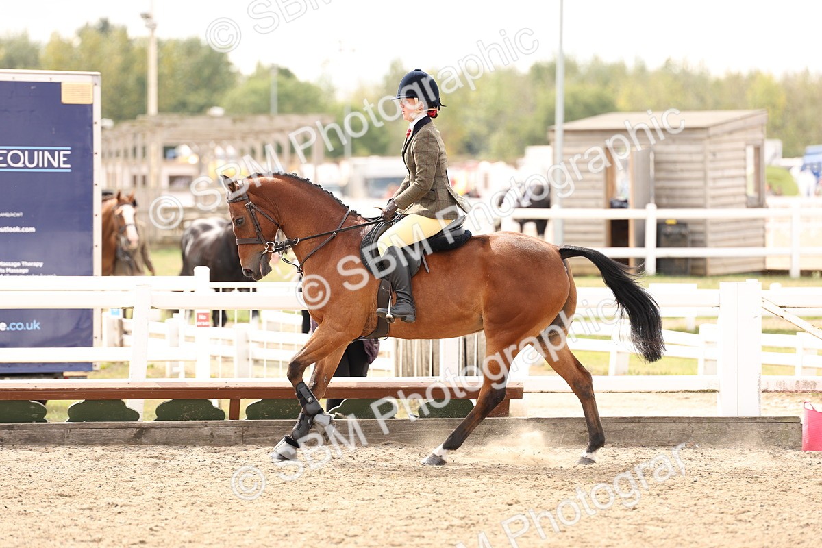 SBM_05101 - Class 56a -  Style & Performance - 50cm (15-19)