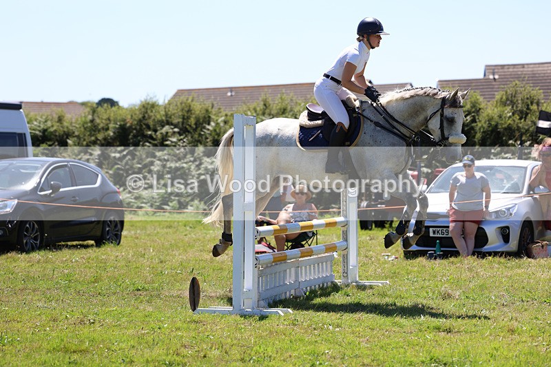 3E7A5571 - Class 9: Senior British Novice/90cm open