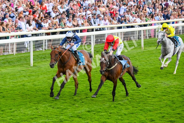 290723-Race 5-Baez-0830 - Race 5 4.35pm Sky Bet Prize Drop Handicap