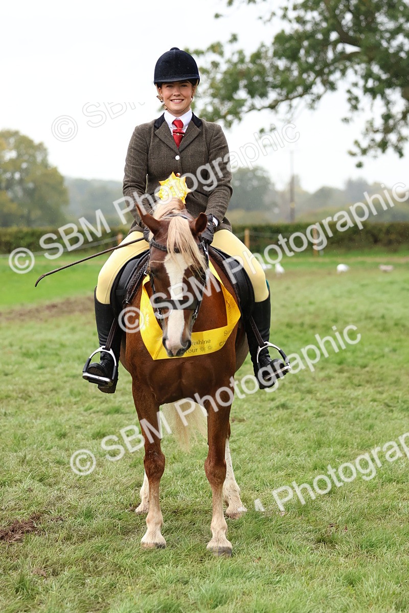 SBM_69749 - S62 - Mountain & Moorland Ridden Large Breeds