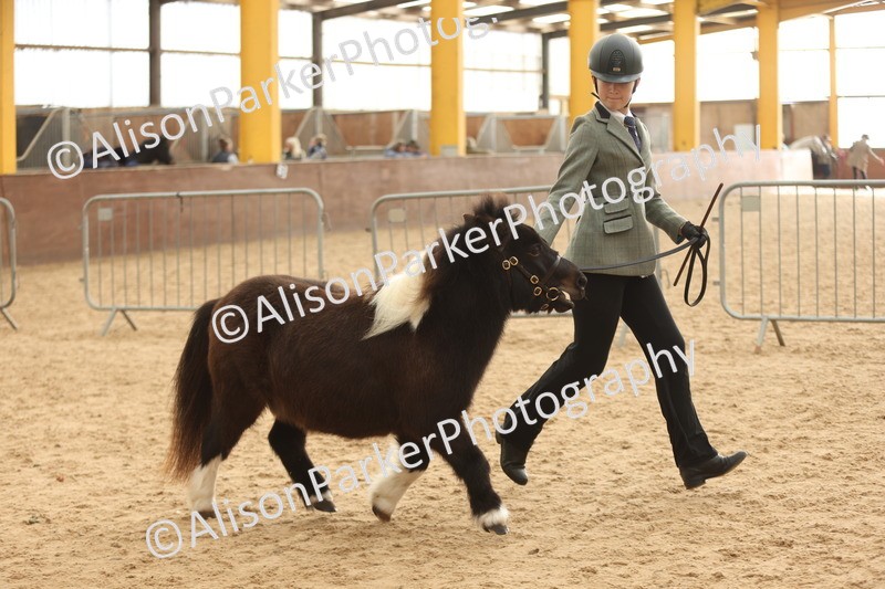 20251109-0405 - Class 15 - Coloureds