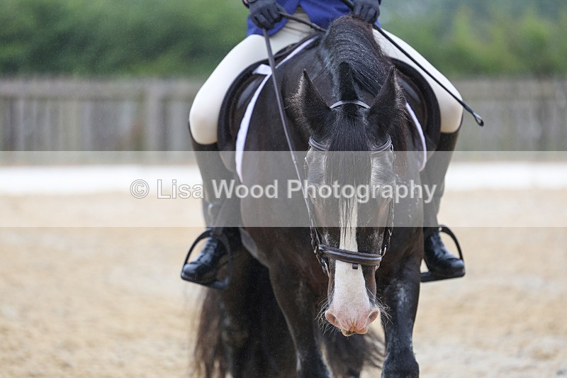 3E7A8418 - Class 2: Intro 3 2024 section B