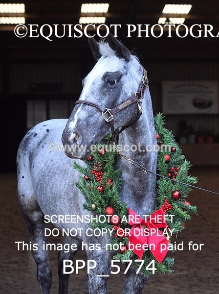 BPP_5774 - Marion West pony 2