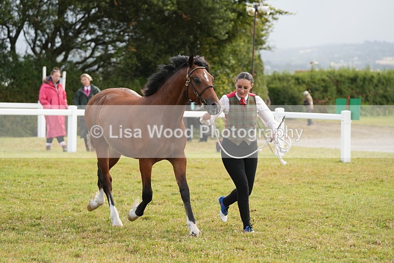 DSC04769 - Class 47: NPS M&M Yearling