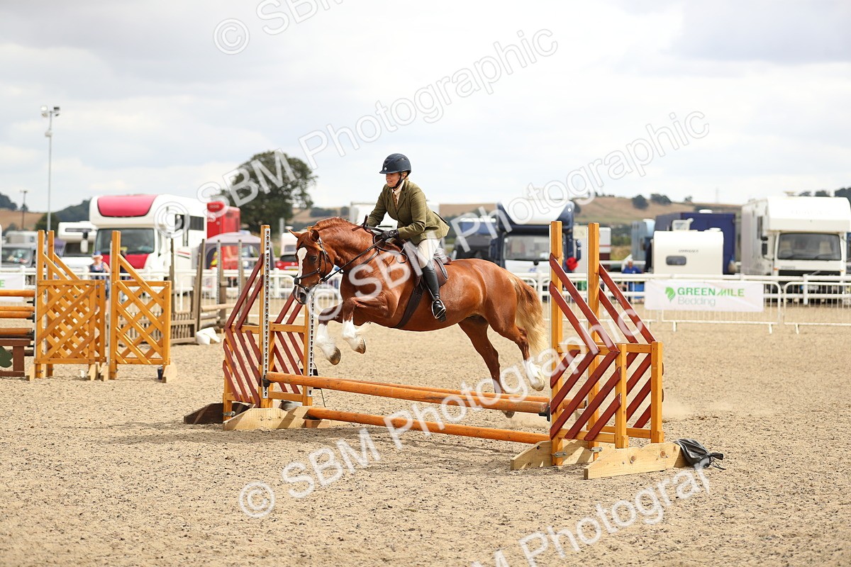 SBM_04825 - Class 47a Style & Performance 60cm (15-19)