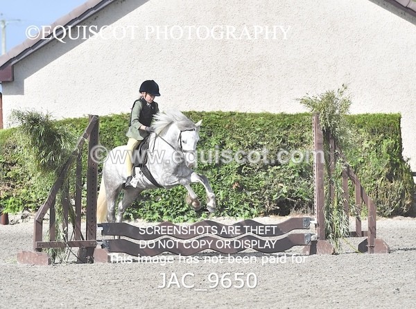 JAC_9650 - CLASS 1 Nursery Novice Working Hunter (0.50m)