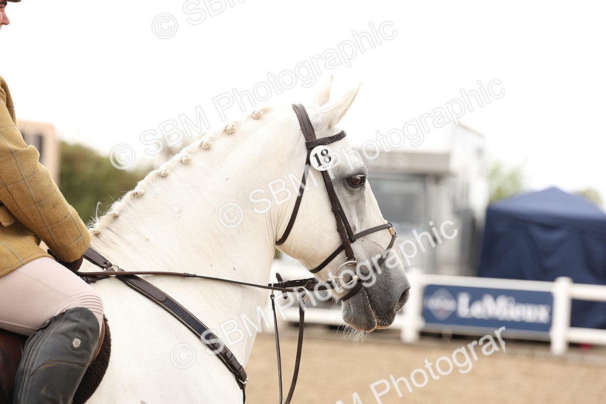 SBM_06764 - Class 58a -  Style & Performance - 70cm (15-19)