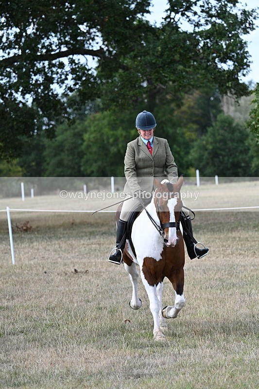 WJ7_7242 - Class 14 Ridden Coloured