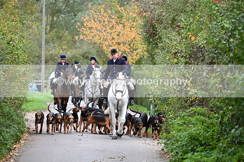 WJ6_8316 - Walk Home..