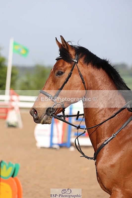 240510A-084102-04357 - Cls 13 British Novice and 90cm Open