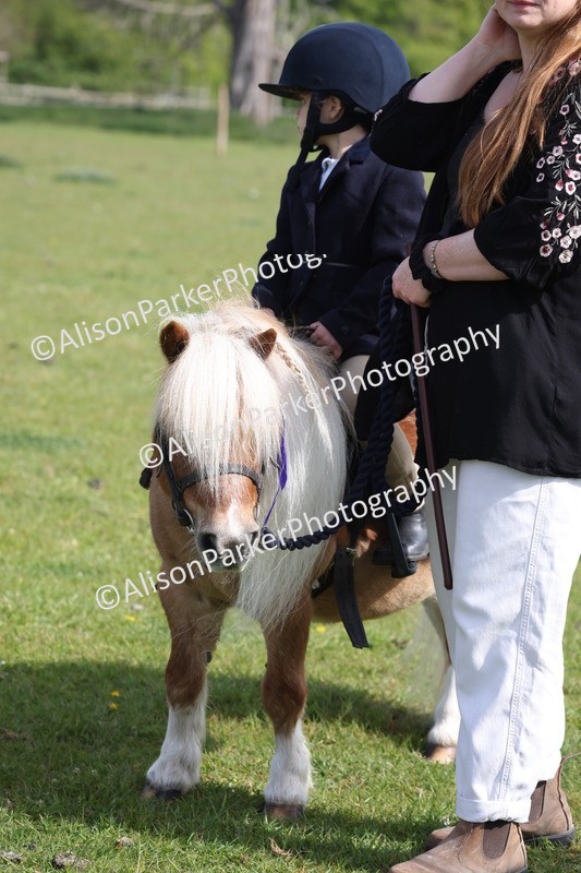 20260426-0536 - Class 30 - Tiny Tots Lead Rein
