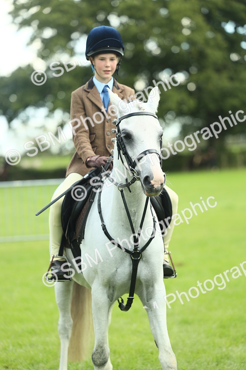 SBM_42206 - S29 - Novice & Newcomers Working Hunter Pony