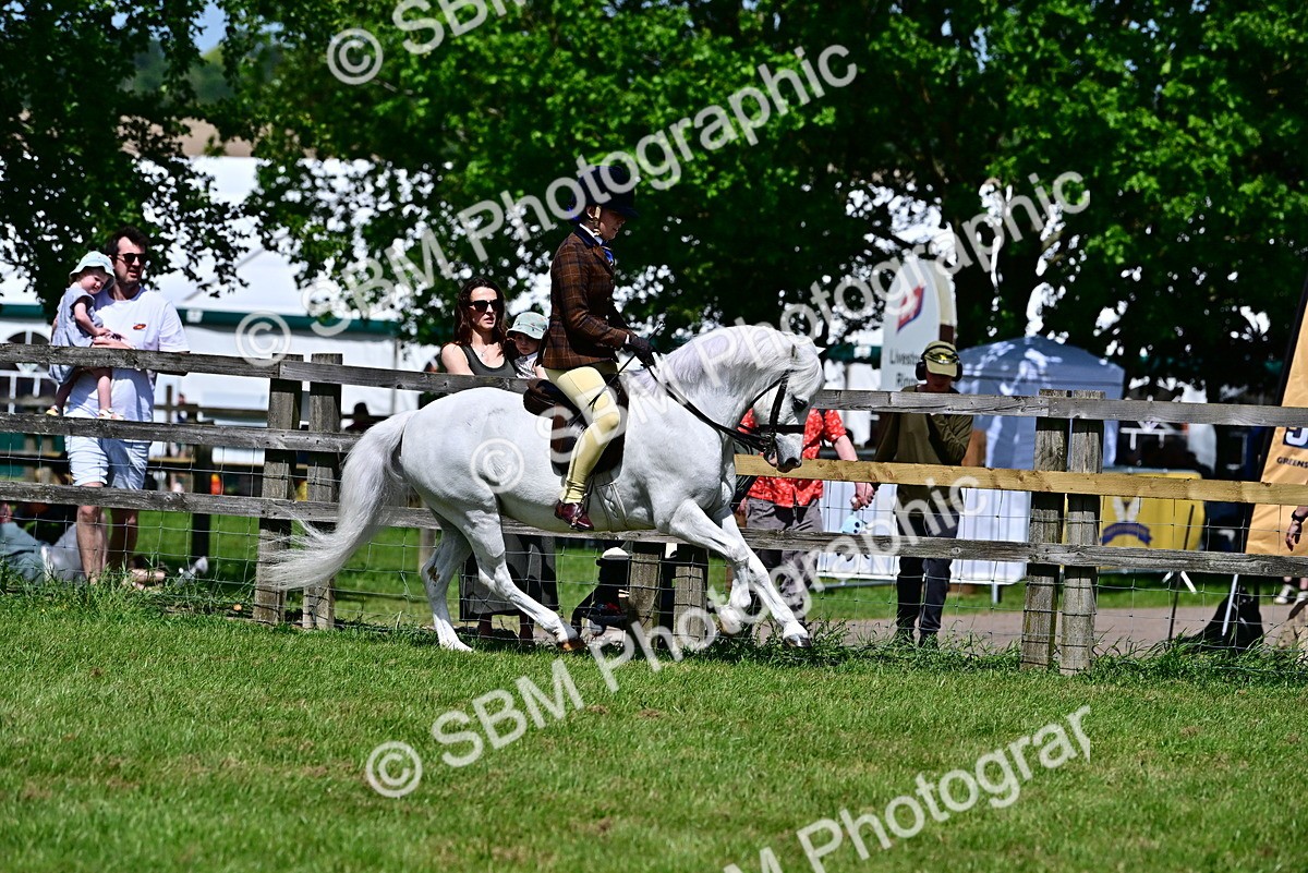SBM_07767