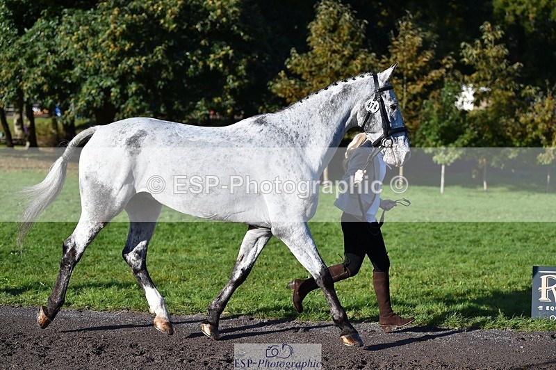 231022-100356-22218 - 474-MENELAUS-Elise.Washer-TrotUp+SJ