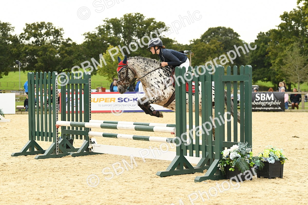 SBM_73093 - J16 - Junior Pony 75cm Championship