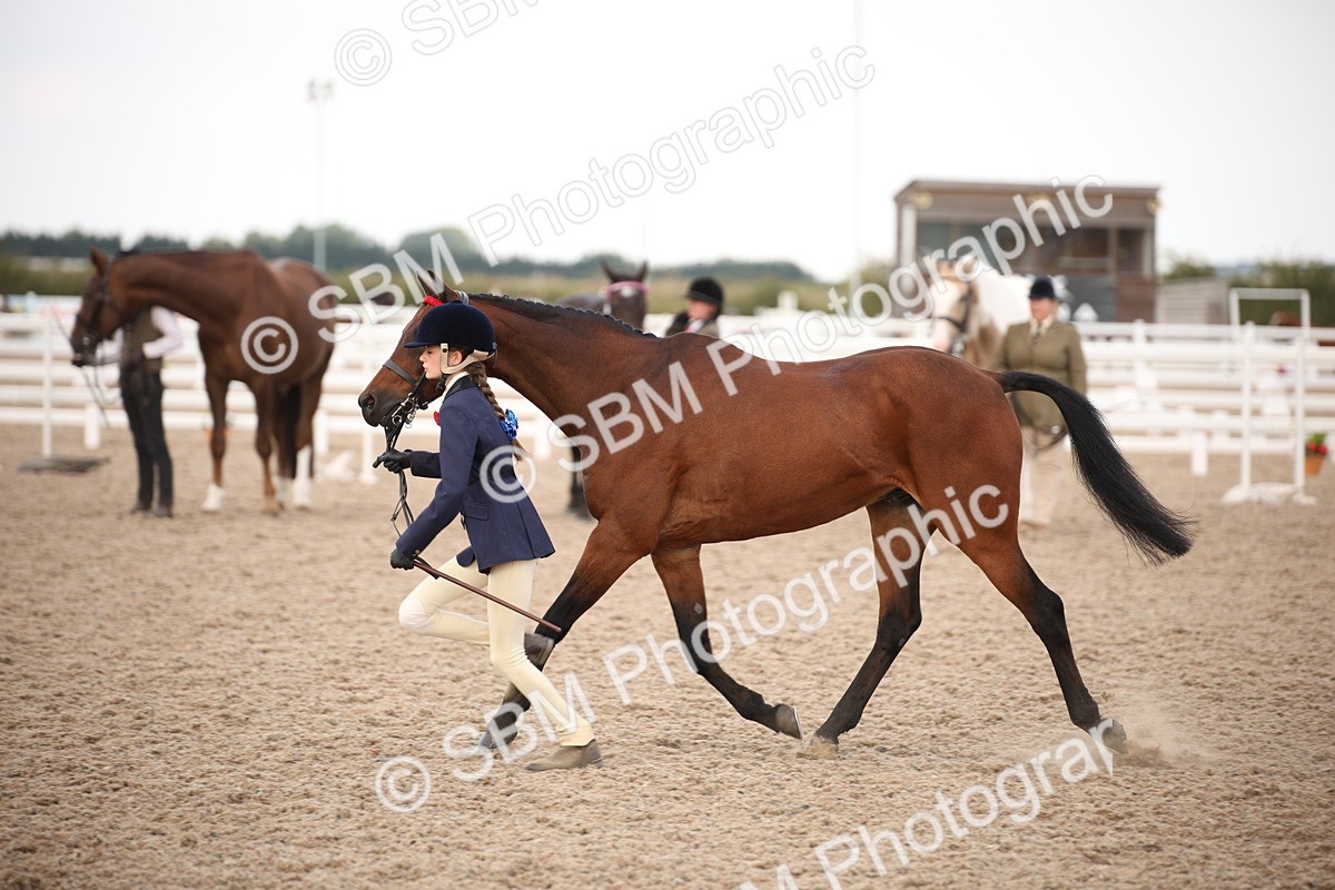 SBM_08236 - Class 27 - IH Competition Horse-Pony