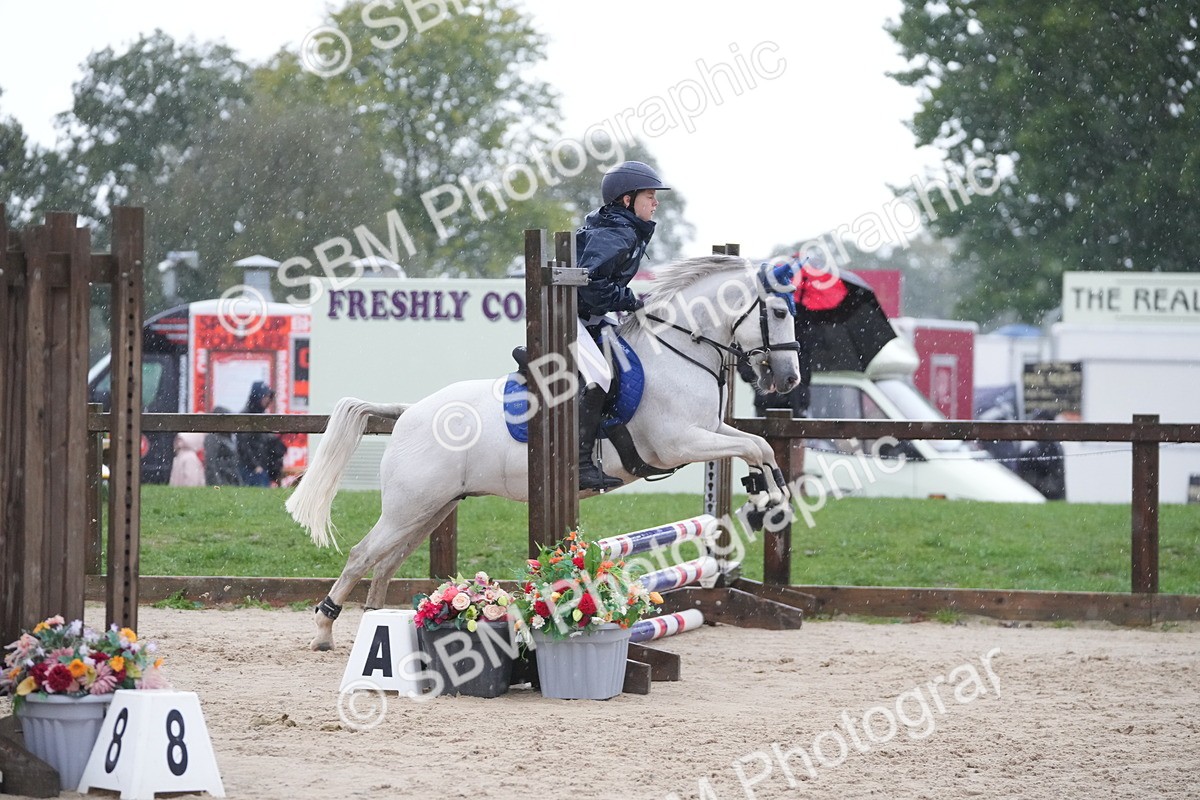 SBM_36210 - J5 - Junior Pony 50cm Championship
