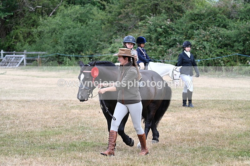 WJ7_9962 - Class 1 Lead Rein Pony