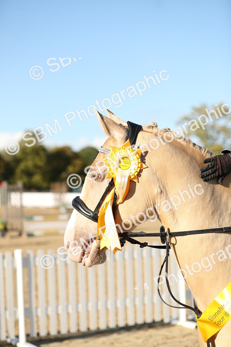 SBM_11496 - J37 - Veteran Rider 75cm