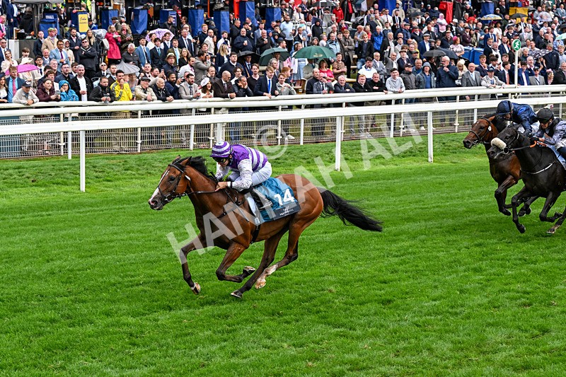 200826-Race 6-Mia Fantasia-0747 - Race 6 16.45pm Mews Hotel Ossett EBF Stallions Nursery Handicap