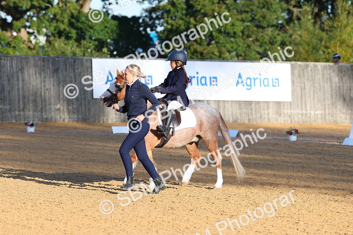 SBM_33477 - D26 - Test Starter Test 1